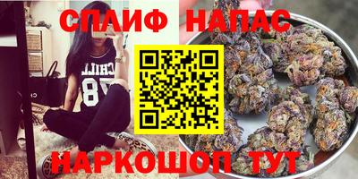 ГАЛЛЮЦИНОГЕННЫЕ ГРИБЫ Волжский