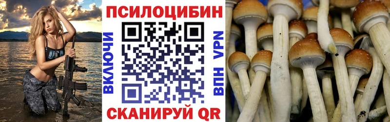 Галлюциногенные грибы ЛСД  цены наркотик  Шадринск 